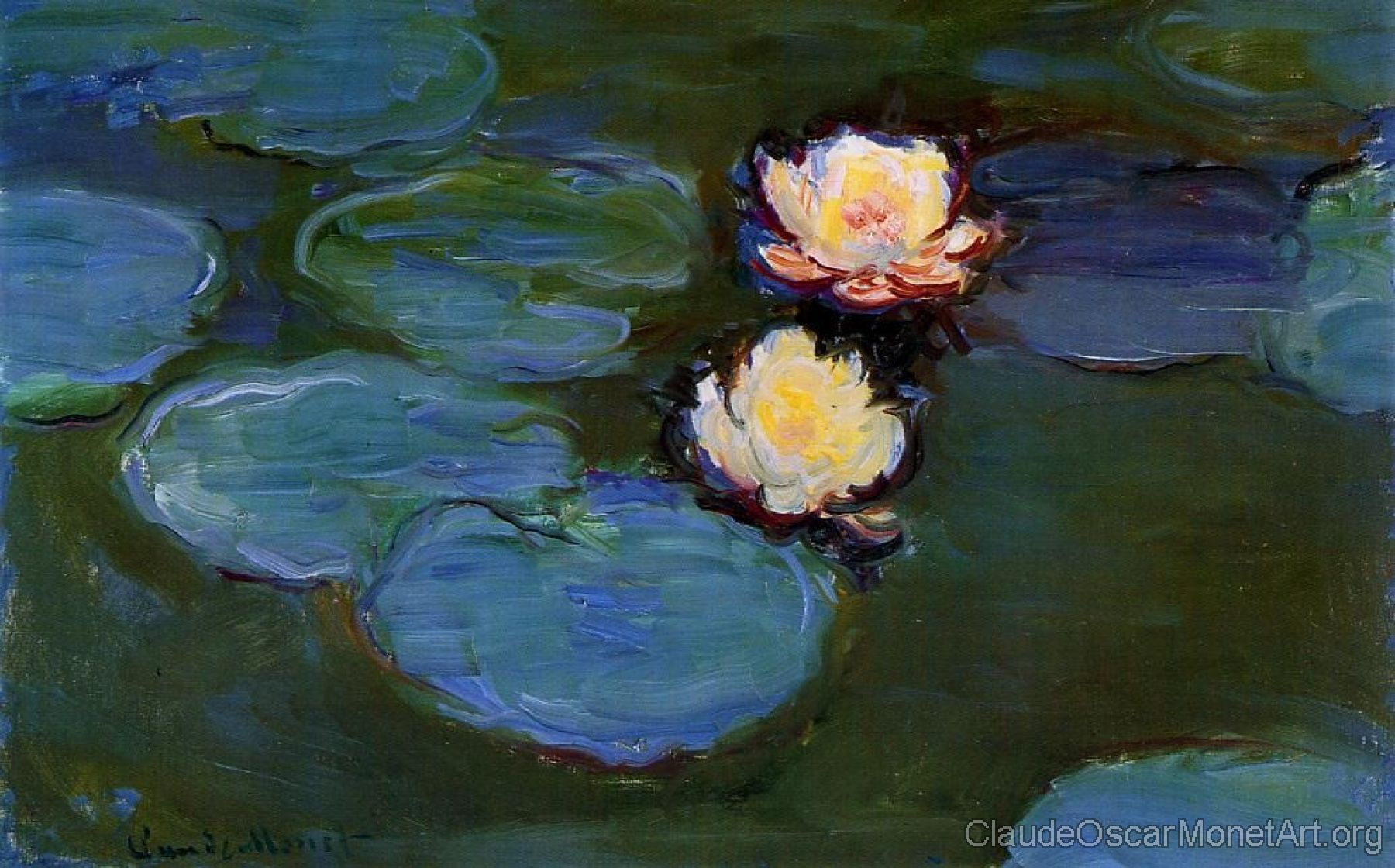 Water Lilies XII